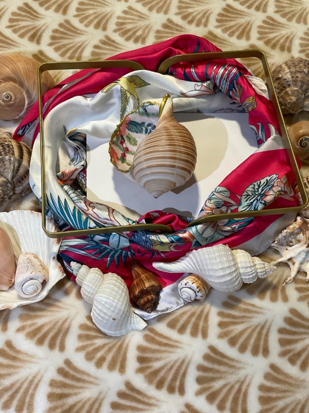 Striped Tonna Sulcosa Trinket Dish Sea Shell - Picture 3 of 5